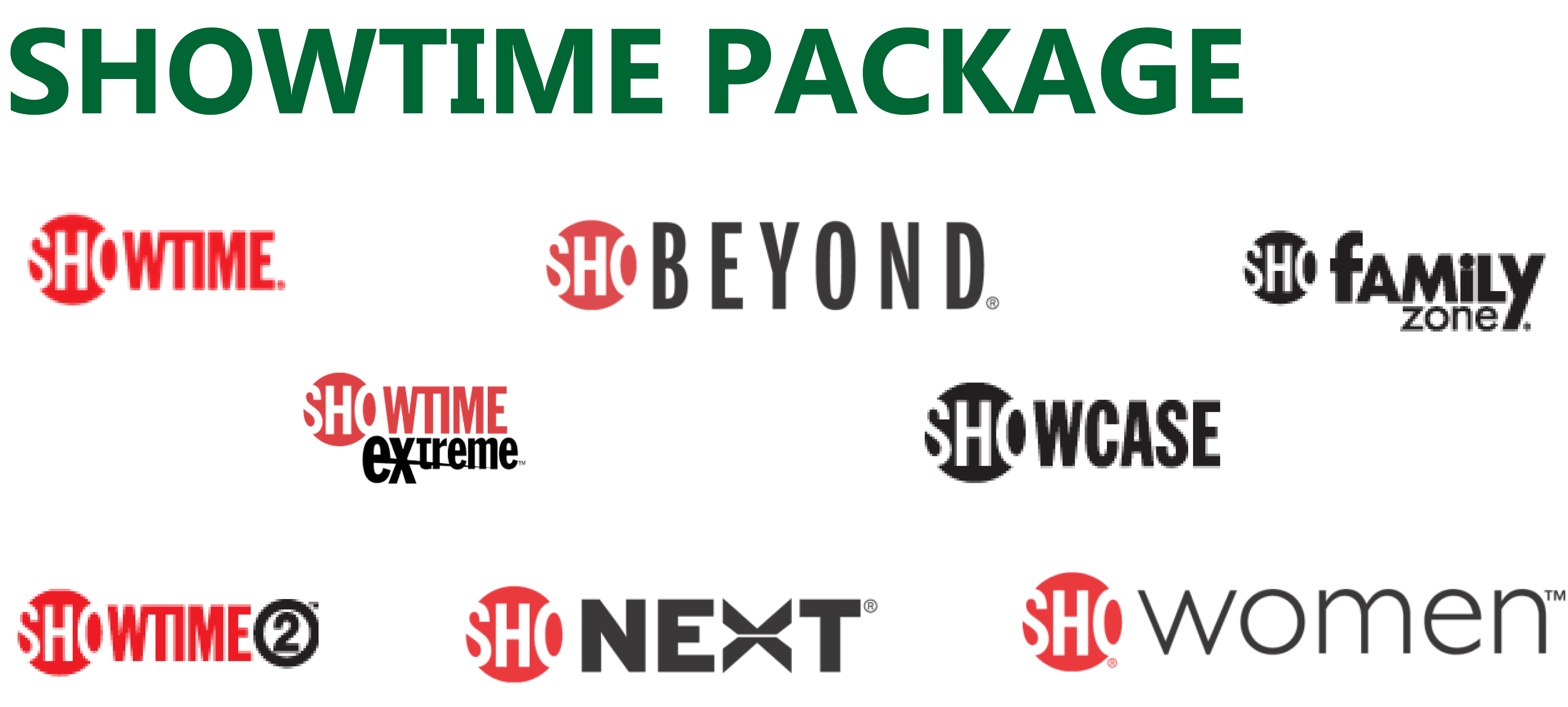 Video Line Up and Packages HolstonConnect